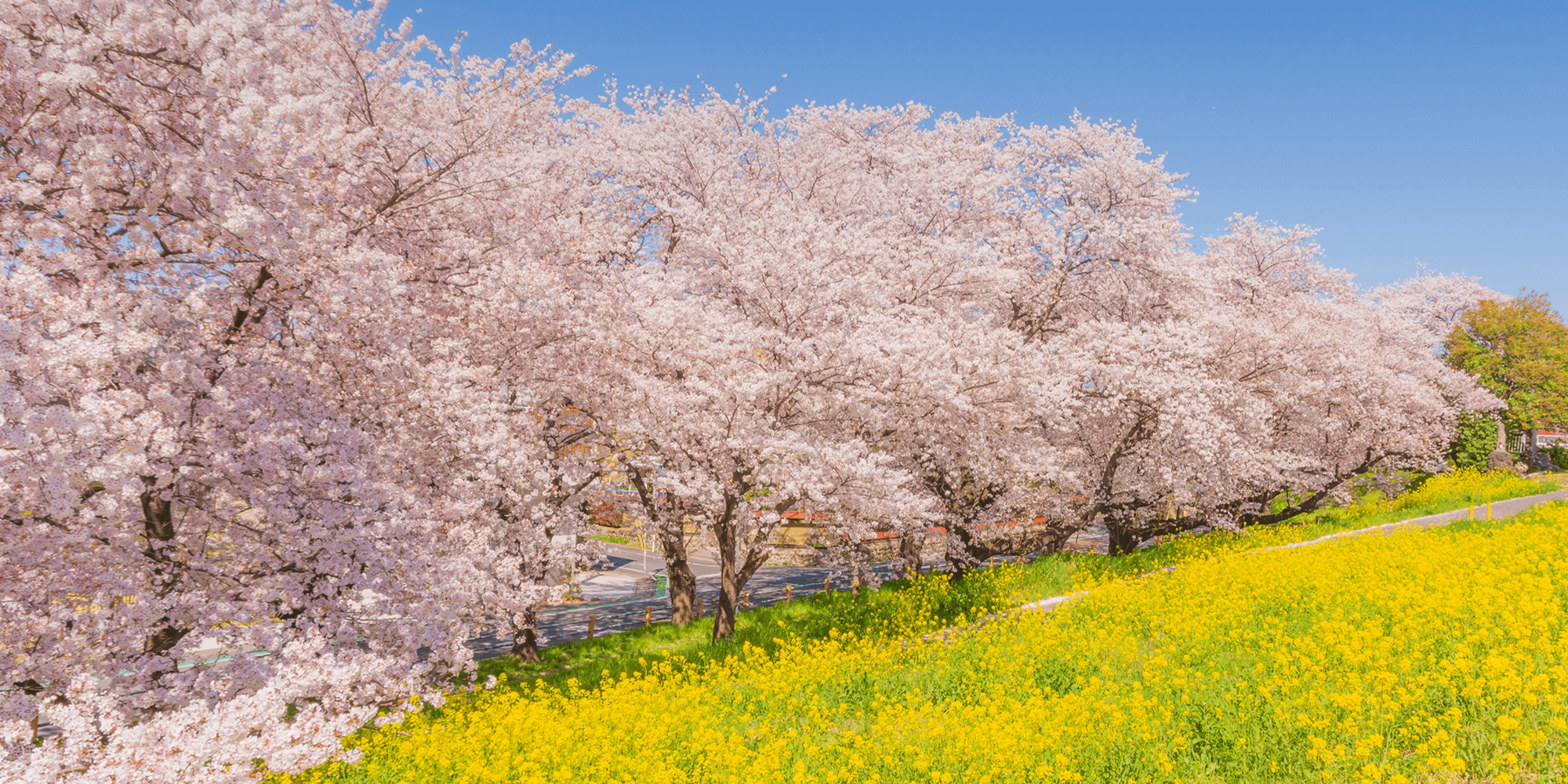 株式会社山岸工務店